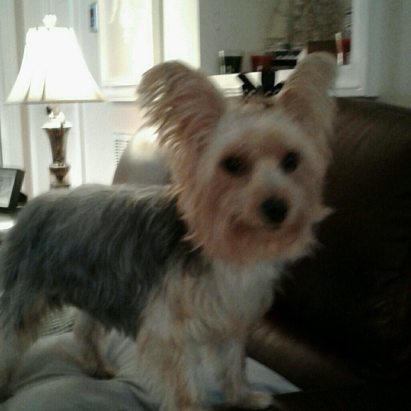 Meet your Posher, Jeff - Picture 1 of 1